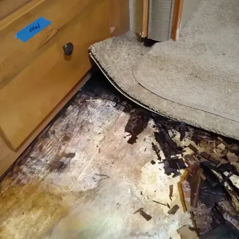 Wood Floor Water Damage in Cameron Park, TX